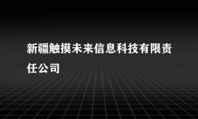新疆觸摸未來信息科技有限責任公司 專業(yè)代理國內各類廣告服務